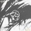 lucid - Single