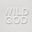 Wild God (single)