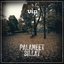 Palaneet sillat
