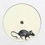 Rat Heart
