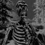 Skeleton