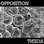 Brittle Inclusions