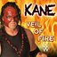WWE: Veil Of Fire (Kane)