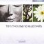 Ten Thousand Budhas