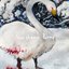 Northern Blood