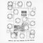 RRR 500 (Various 500 Lock-Grooves By 500 Artists)