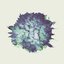 Falling (Whethan Redo) - Single