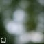 Blur