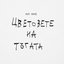 Цветовете на тъгата