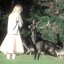 when bambi found her mother