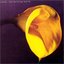 The Burning World (MP3)