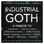 Industrial Goth - A Tribute To Rammstein, Nine Inch Nails, The Sisters Of Mercy, Depeche Mode, Marilyn Manson, The Cure...