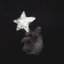 starfish - Single