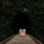 The Transcendentalist
