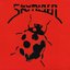 SkyRider