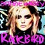 Rock Bird
