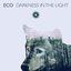 Darkness In The Light