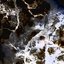 Obscurities & Terrestrials