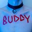 BUDDY