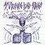 Strong Bad Sings and other type hits