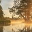 Warm Mist