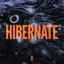 Hibernate