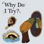 Why Do I Try? (Demo)