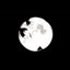 Moonlight