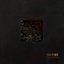 Fracture - Single