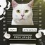 Cadê Meu Gato? - Single