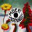 Strange to Explain (More Strange)