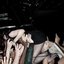 Demos and Unreleased Songs