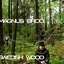 Swedish Wood