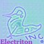 Electriton Project