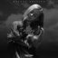a little dramatic (deluxe edition)