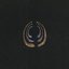 Endocrine - Single