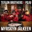 Myrskyn jälkeen