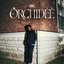 ORCHIDÉE