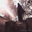 Carved In Fire