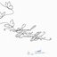 Social Butterfly 2