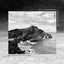 Persistence (Abul Mogard rework)