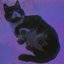 Purple Skies - Single