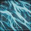 Crevice