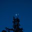 Twinkle Twinkle Little Star