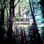 To An Evergreen EP