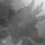 Florist