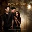 The Twilight Saga - New Moon