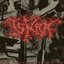 The Terrorist Act (EP)