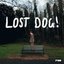 LOST DOG!