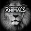 Animals (Broning Bootleg)
